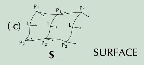 fig1c.gif (4534 bytes)