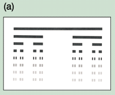 fig2(a).gif (23500 bytes)